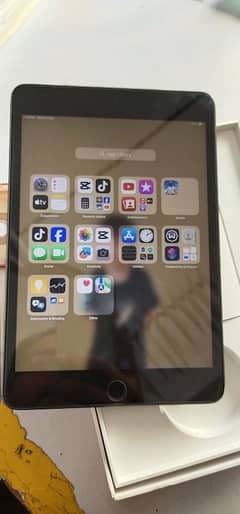 iPad mini 5 64 gb  10by10 condition