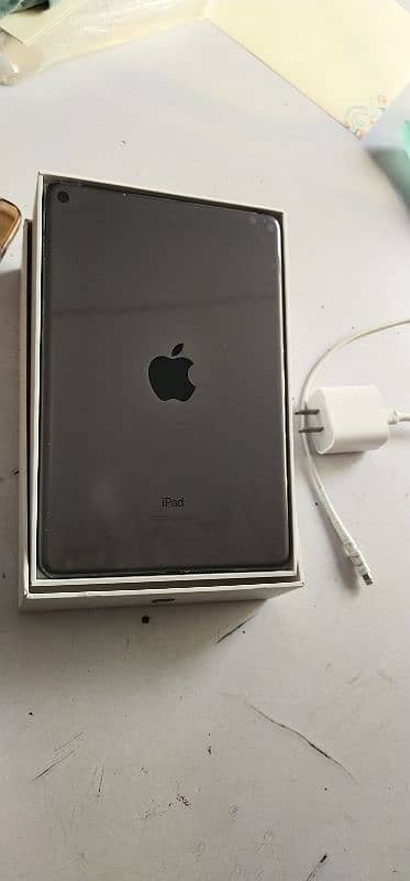 iPad mini 5 64 gb  10by10 condition 2