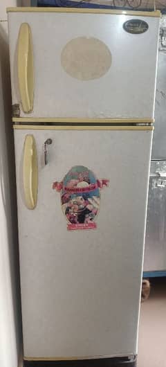 singer fridge