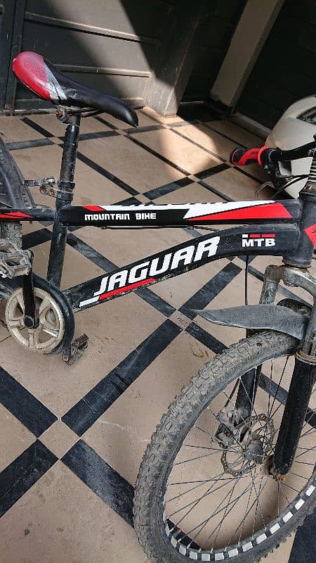 Jaguar cycle 7