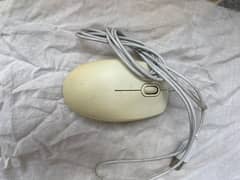 Hp mouse