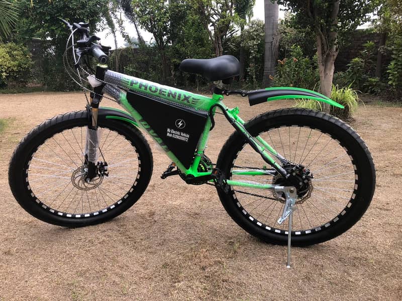 Electric tric bicycle/ebike / Mz Electric vehicle's 7