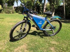 Electric tric bicycle/ebike /Mz Electric vehicle's