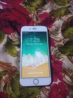 i phone 6