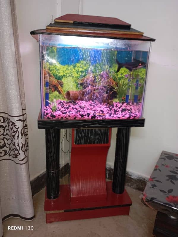 Aquarium Complete setup with Fishes 0