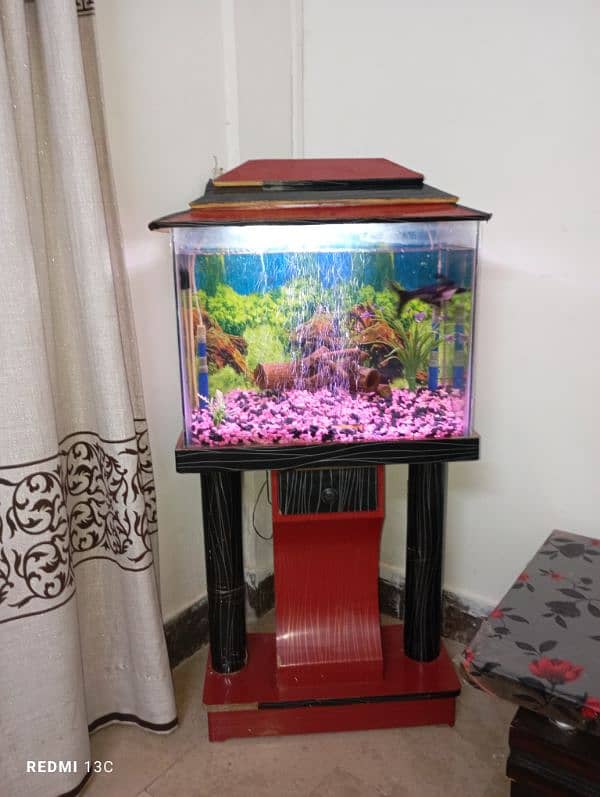 Aquarium Complete setup with Fishes 1