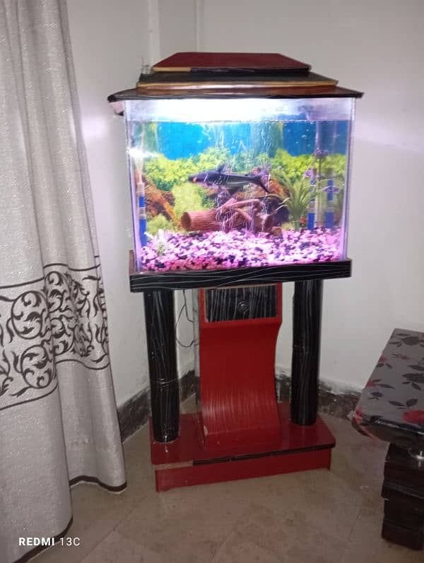 Aquarium Complete setup with Fishes 3