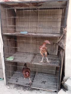 cage for sale birds