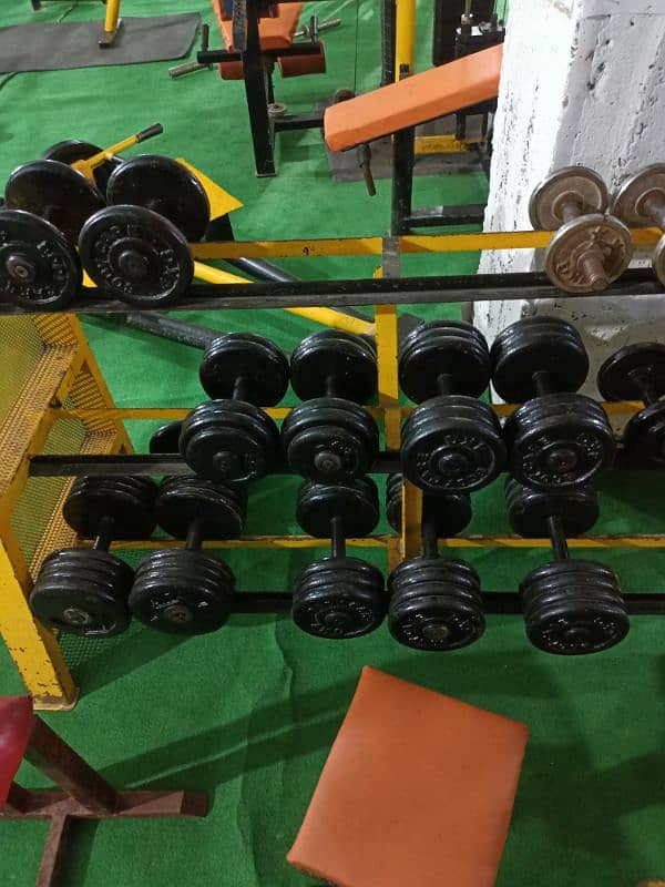 mukamal setup gym running 1