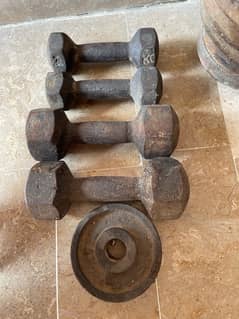 Dumbells and Weights for sale