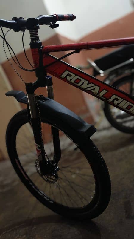 royal rider cycle 1