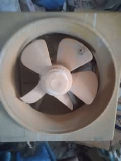 ceiling fan for sale 03341899181