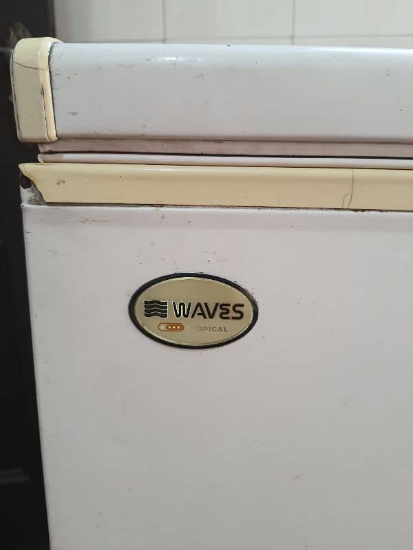 Waves Tropical Deep Freezer Clean and Perfect in Condition with Stand 1