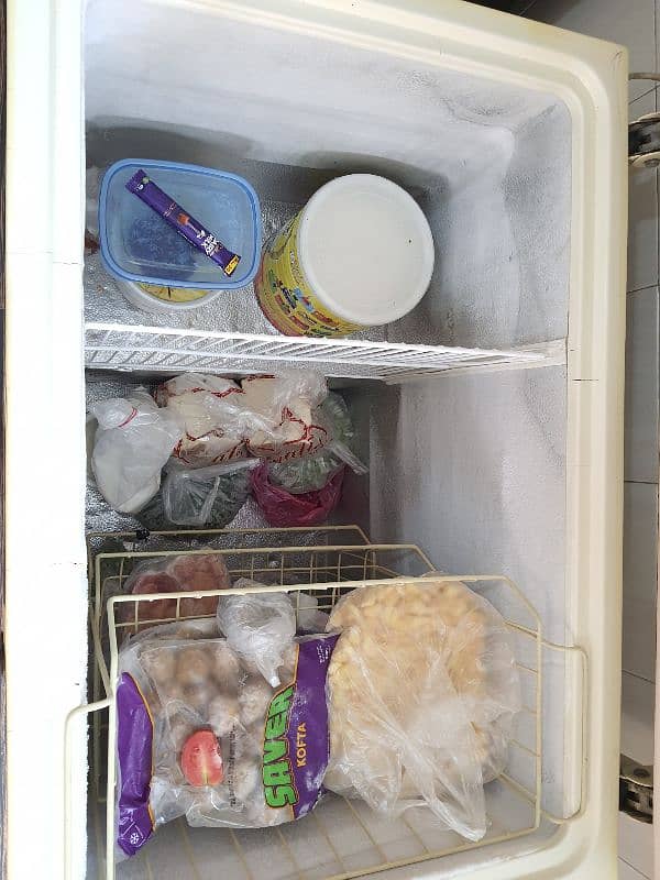 Waves Tropical Deep Freezer Clean and Perfect in Condition with Stand 3