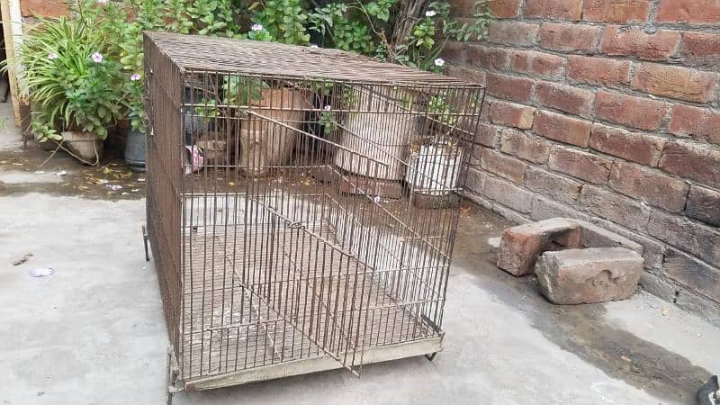 birds and hen cage loai wala cage 3k ka hai or  cage 500 ka hai 1