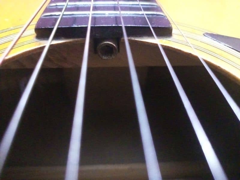 Cort Acoustic guitar 19