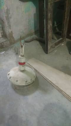 Ceiling Fan for Sell