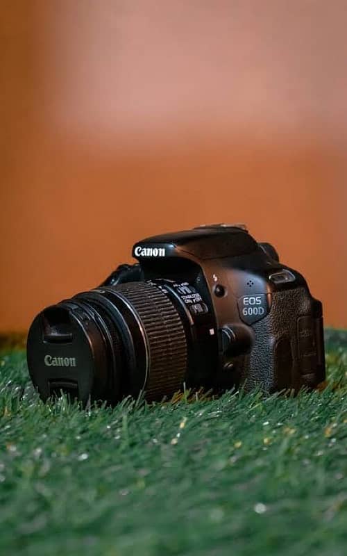 Canon 600D with Prime (50MM, f1.8) and Telephoto (55-250MM) lenses 1