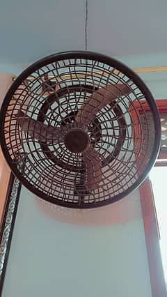 12 volt dc Simple Wall Hanging Fan 1