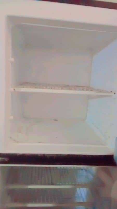 fridge 1