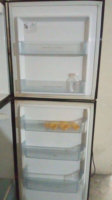 fridge 3