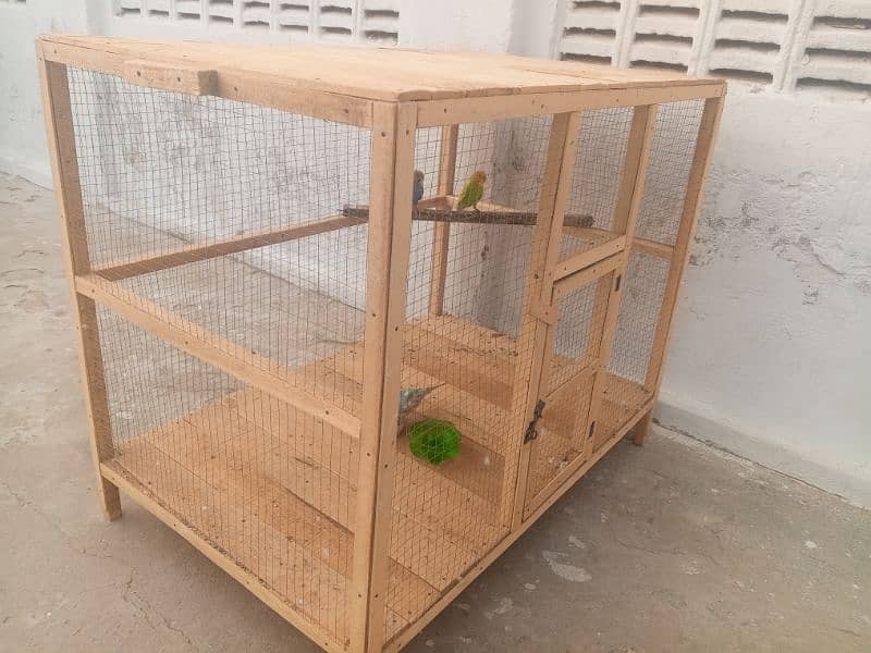 hen cage+parots 1