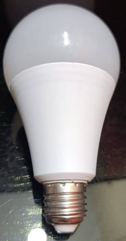 24 Watt Led Bulb 1