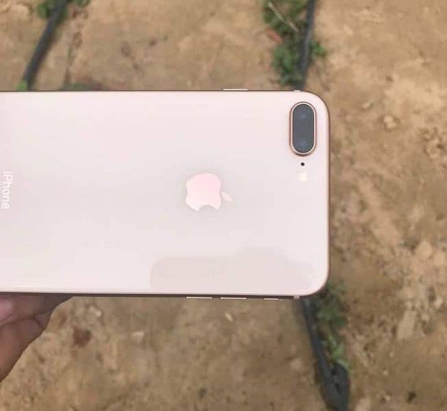 iPhone 8 Plus Gold 256GB No Any Fault 0