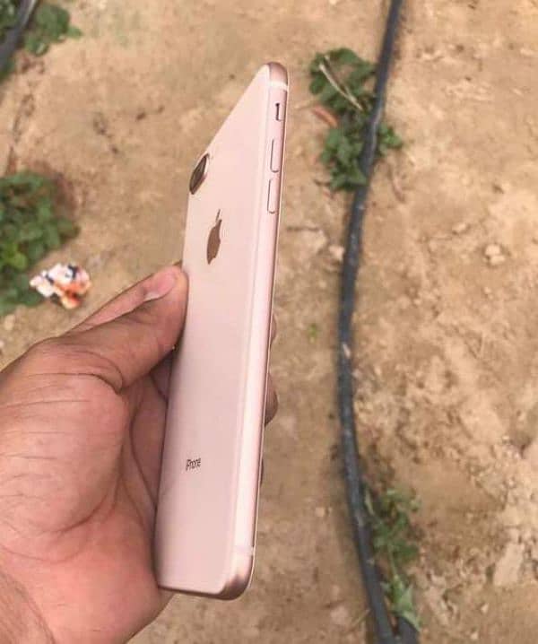 iPhone 8 Plus Gold 256GB No Any Fault 1