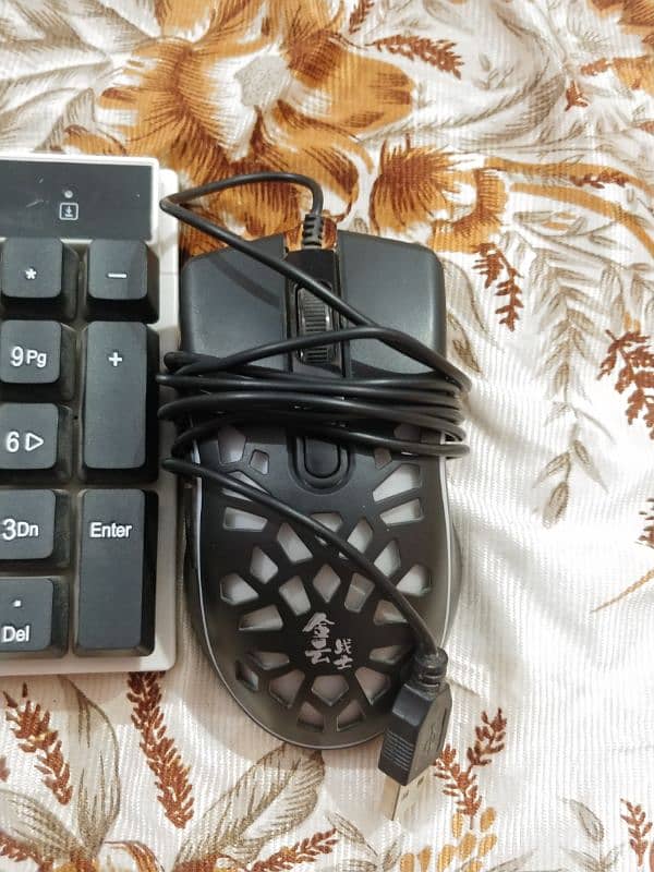 Mechanical Keyboard and Gaming mouse 1