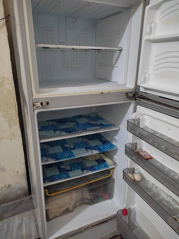 Freezer Medium Size 0