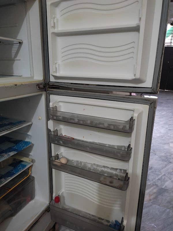 Freezer Medium Size 2