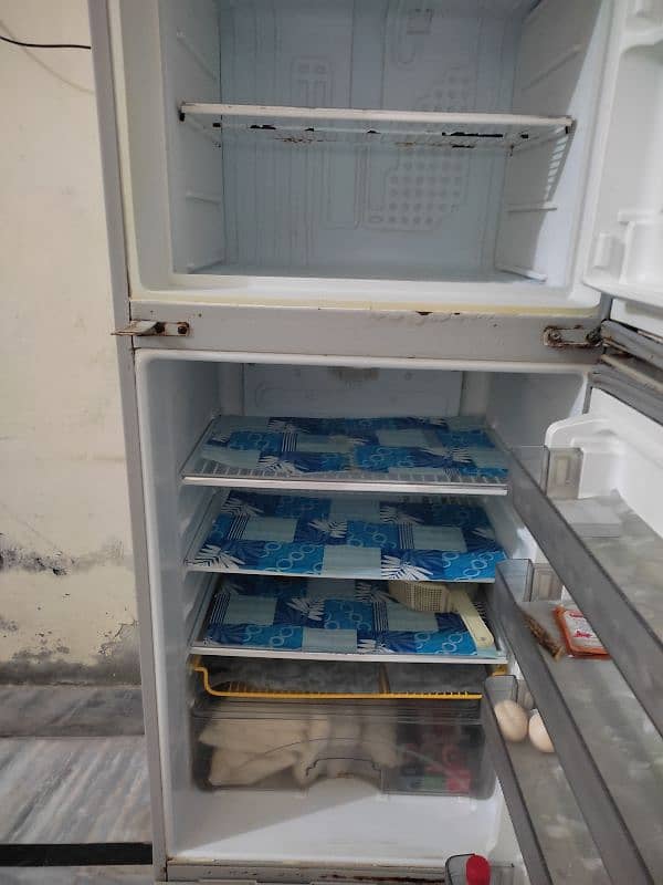 Freezer Medium Size 3