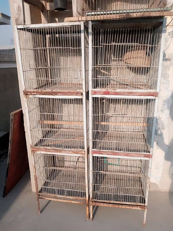 Birds cages 0