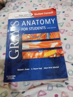 anatomy