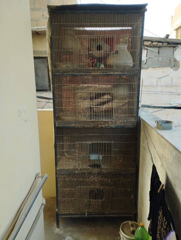 4 bird cage size 2.8*1.8 0