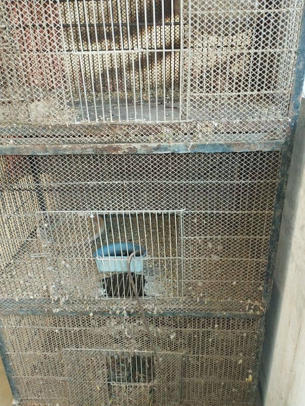 4 bird cage size 2.8*1.8 2