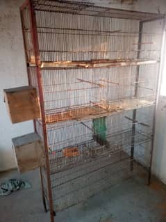 birds cage pinjra 8 portion