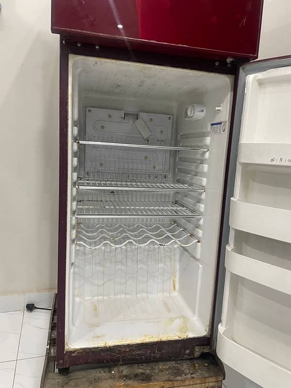 orient large fridge 8