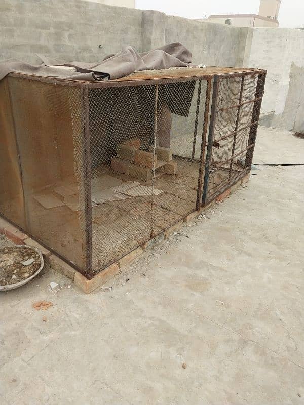 Hen cage for sale 0