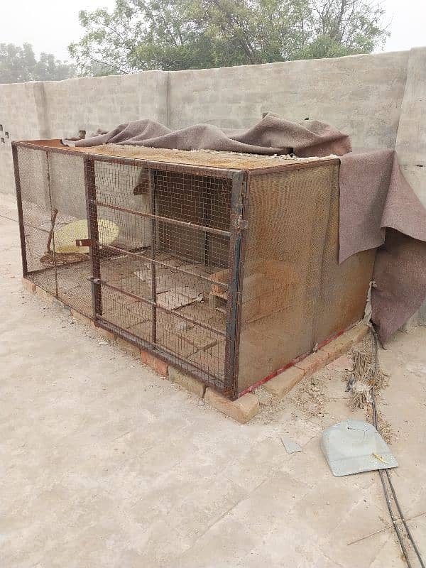 Hen cage for sale 1