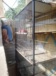 bird pinjra  bird cage  cage in other bird  cage in animal