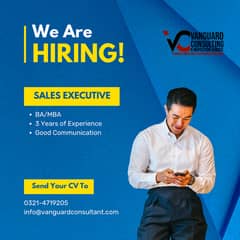 Sales Executive