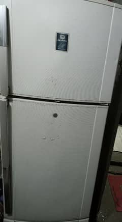 Fridge Dawlence