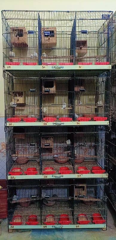 cages matki cage pinjra box 0