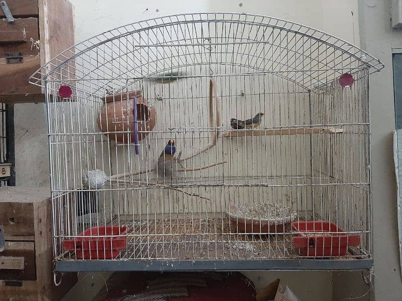 cages matki cage pinjra box 4