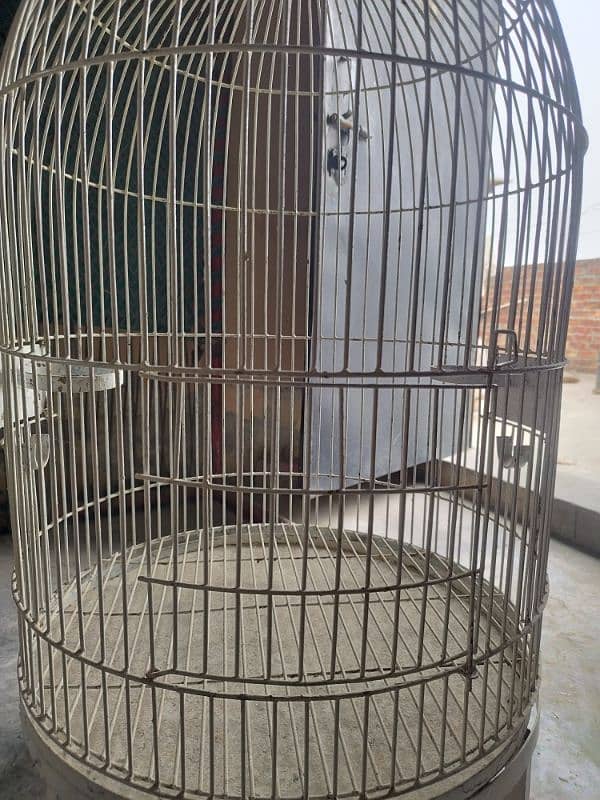 Large size parrot cage available 5