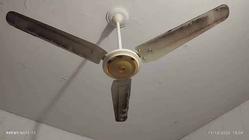 Ceiling fan for sale 1