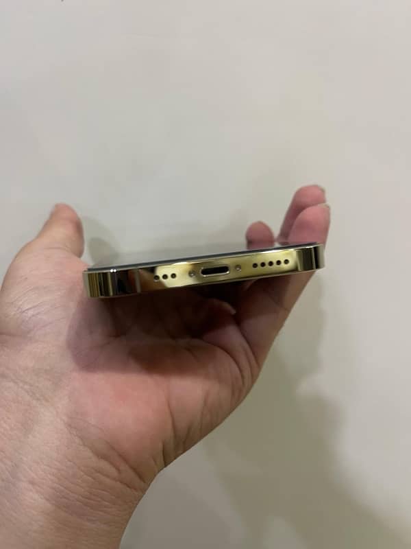 IPhone 12 Pro Pta Proved 2