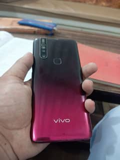 vivo